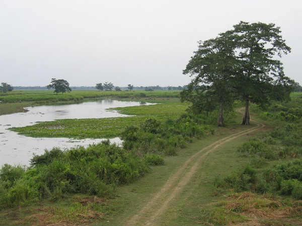 കൂടുതല് ചിത്രങ്ങള്