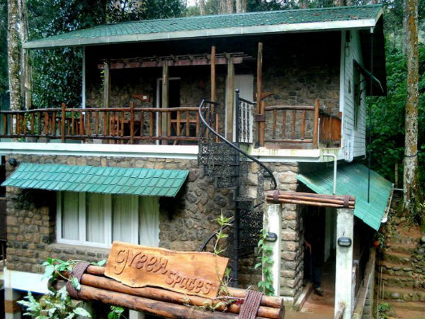 01. ഗ്രീന് സ്പെയ്സസ് റിസോര്ട്ട് (Green Spaces Resort)