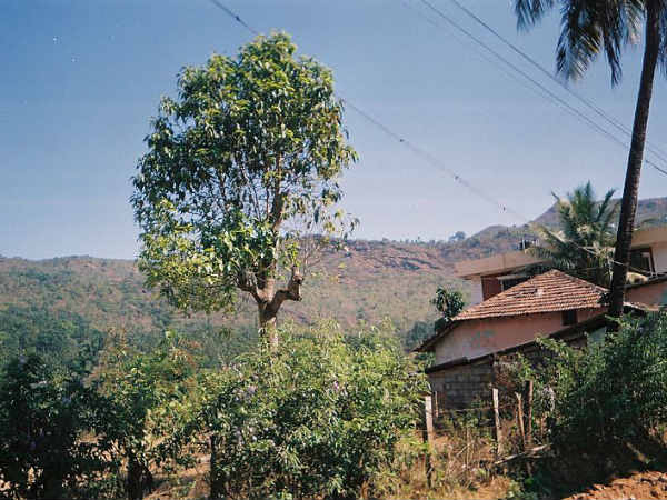 13. ഹൊറനാട്