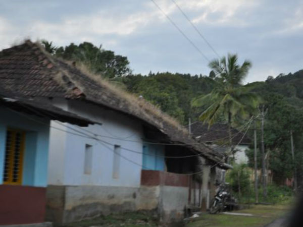 15. കിഗ്ഗ