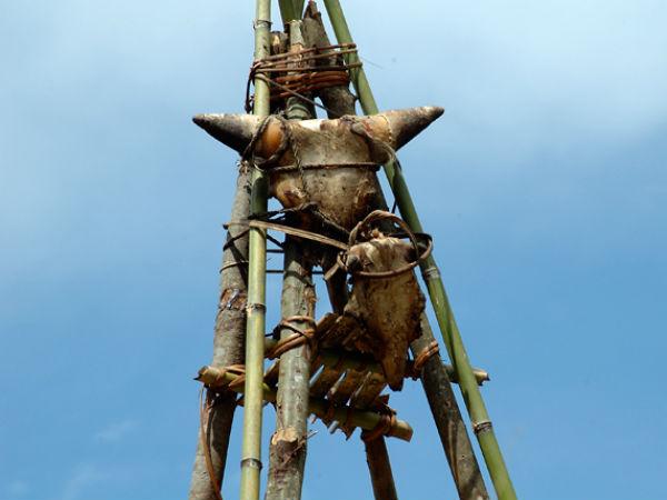 ഡ്രീ ഫെസ്റ്റിവല്
