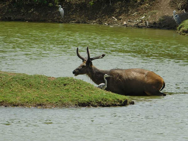 03. വന് വിഹാര്