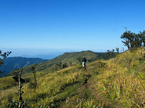13. പുല്മേട്
