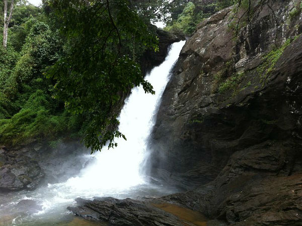 സൂചിപ്പാറ വെള്ളച്ചാട്ടം, കല്പ്പറ്റ