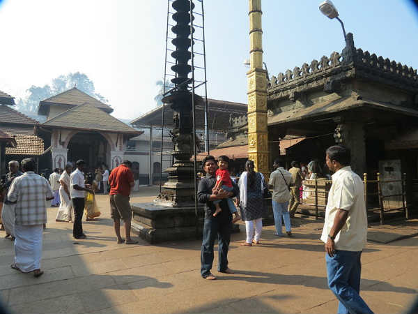 4 അംബികമാരെ പരിചയപ്പെടാം 4 അംബികമാരെ പരിചയപ്പെടാം
