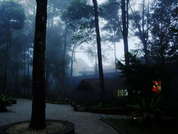 വൈത്തിരി