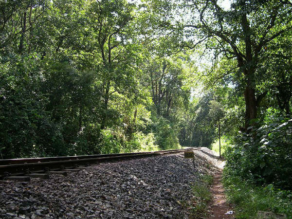 2. കുളേയിൽ നിന്ന്