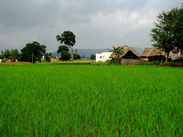 യേലഗിരി