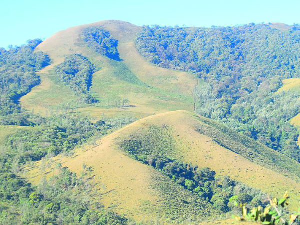 ചിക്കമഗളൂർ