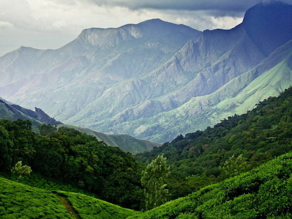 06. മൂന്നാർ, കേരളം