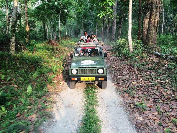 08. ഗൊരുമാര (Gorumara), പശ്ചിമ ബംഗാൾ