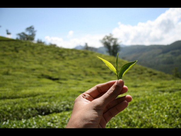 ശാന്തമായ ഗ്രാമം