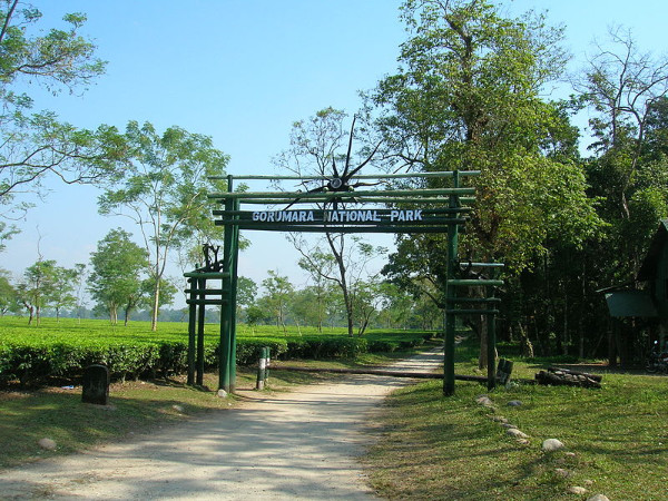 05. ഗൊരുമാര, ഡാർജിലിംഗ്