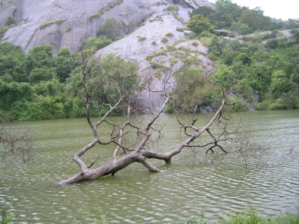 അപകട സ്ഥലം