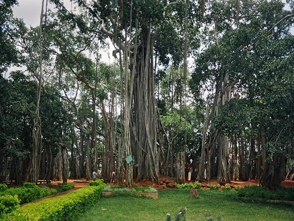 400 വർഷത്തെ പഴക്കം