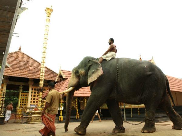 19. മള്ളിയൂര് ശ്രീ മഹാഗണപതി ക്ഷേത്രം, കോട്ടയം
