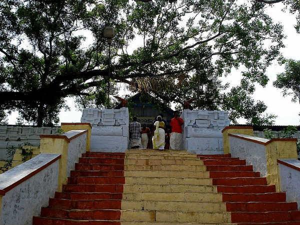 24. തിരുമാന്ധാംകുന്ന് ക്ഷേത്രം