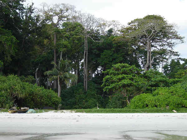 48. ആന്ഡമാന്