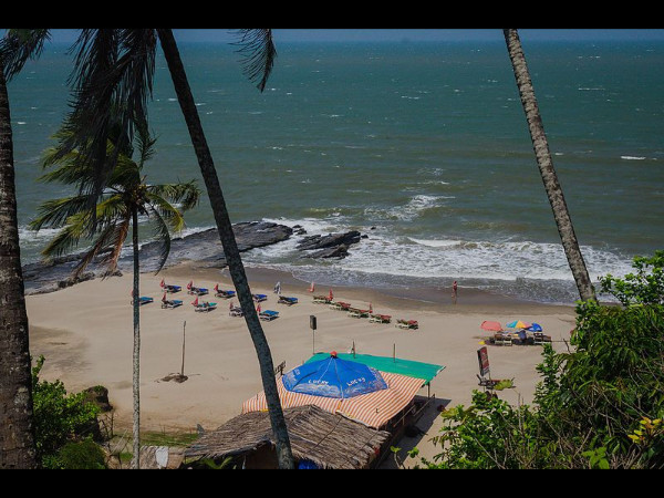പ്രൈംറോസ് ഷാക്ക്