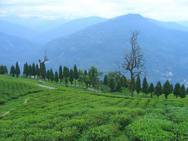 12. റവാന്ഗ്ല, സിക്കിം