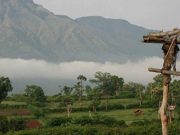 ബാംഗ്ലൂരിൽ നിന്ന് ചിക്മഗളൂരിലേക്ക് ഒരു യാത്ര ബാംഗ്ലൂരിൽ നിന്ന് ചിക്മഗളൂരിലേക്ക് ഒരു യാത്ര