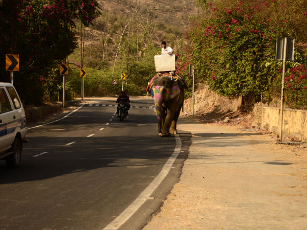 ജയ്പൂർ