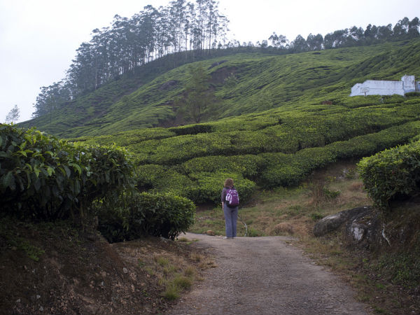 മൂന്നാർ