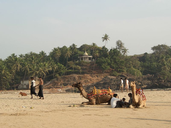 സംഗീതം
