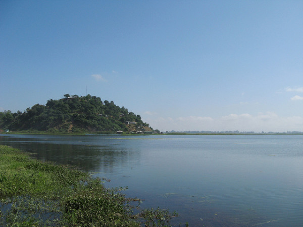 08. ദേശാടന പക്ഷികൾ