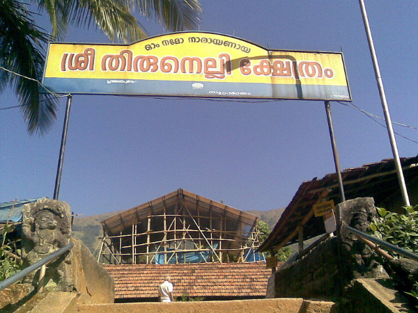 കാട്ടിനുള്ളിൽ