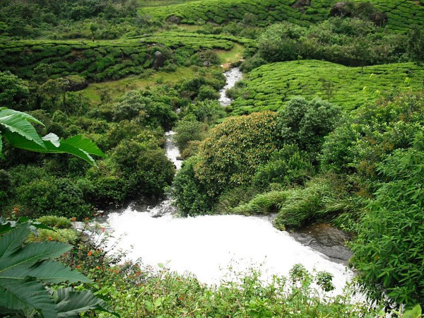 സമീപ സ്ഥലങ്ങൾ