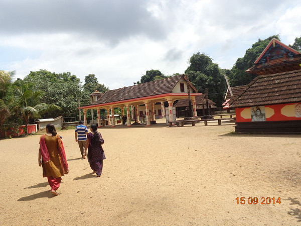 03. അഞ്ച് കാവുകൾ