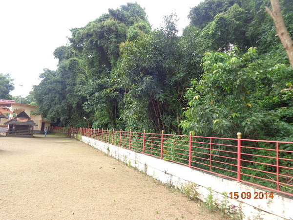 06. നമ്പിയും അല്ലിയും