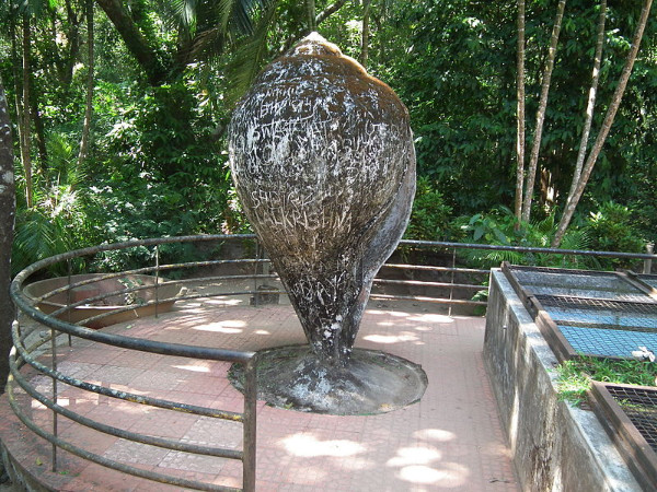 അക്വേറിയം