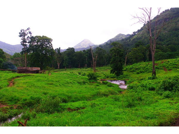 ടെന്റഡ് നിഷ്