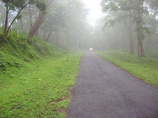 ഹണികോമ്പ് കോംപ്ലക്സ്