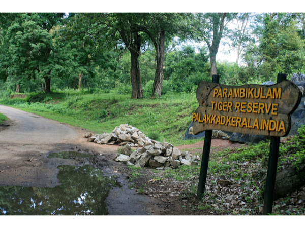 ഐലന്റ് നെസ്റ്റ്