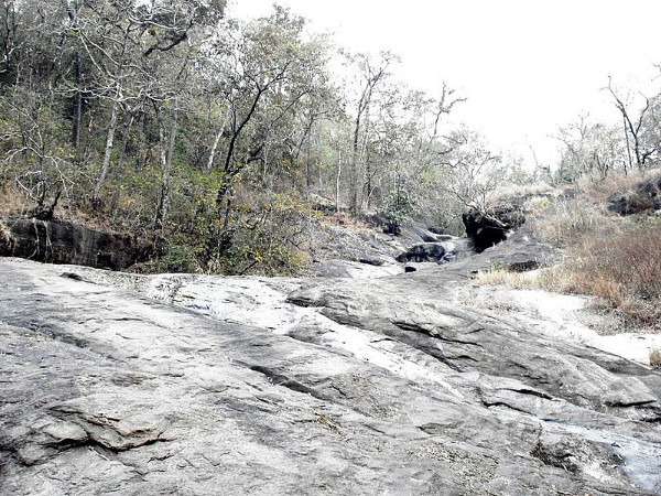 താമസ സൗകര്യം
