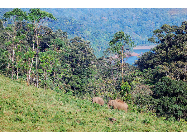 താമസ സൗകര്യം