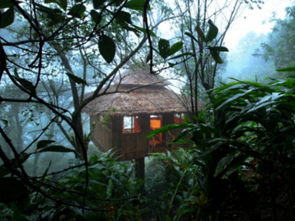 01. ട്രീ ഹൗസിൽ താമസിക്കാം