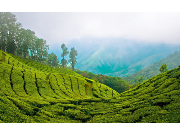 03. ട്രെക്കിംഗ്