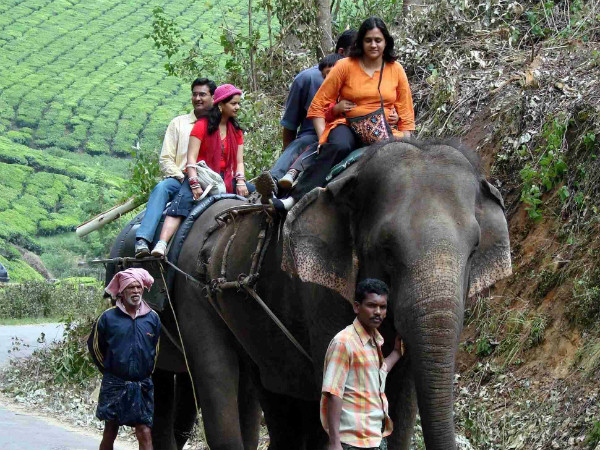 10. കാർമൽ ഗിരി എലിഫന്റ് പാർക്ക് സന്ദർശിക്കാം