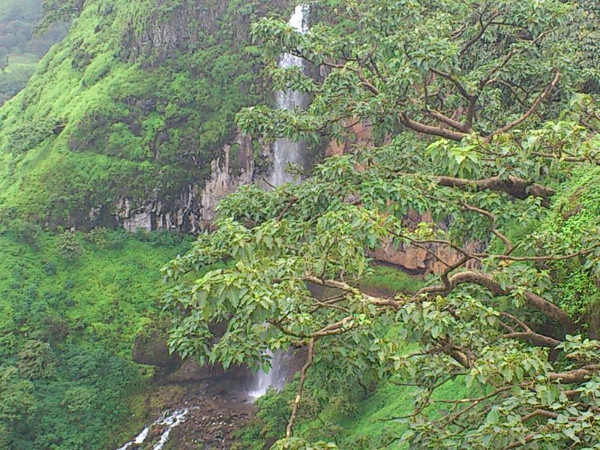 11. ധോബി വെളളച്ചാട്ടം