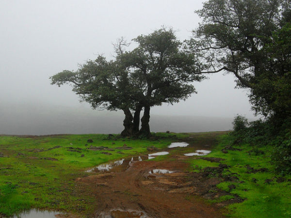 03. ലോണാവ്ള, 88 കി മീ