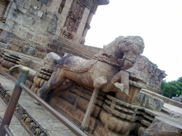 02. കുതിരകള്