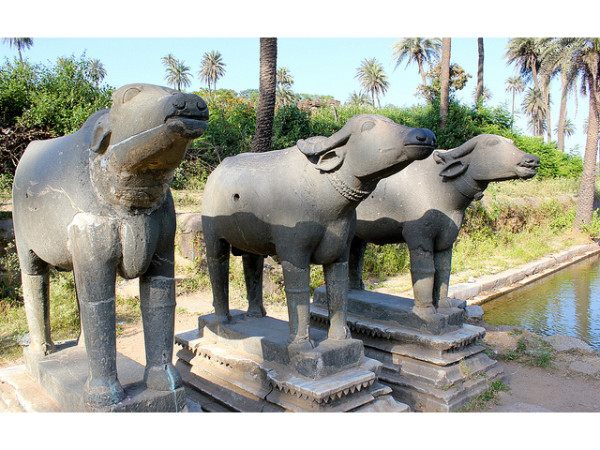 അചല്ഗര്ഹ് ഫോര്ട്ട്