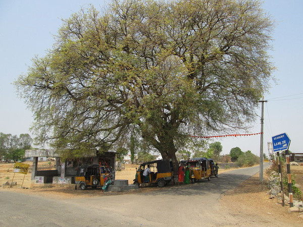 ചെലവ്
