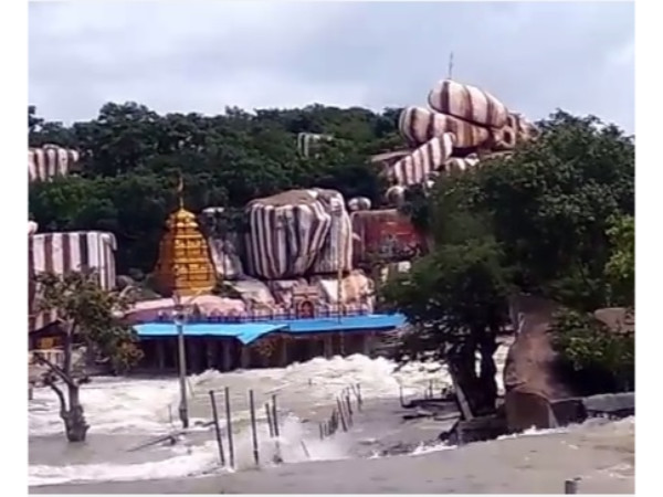 ജടര