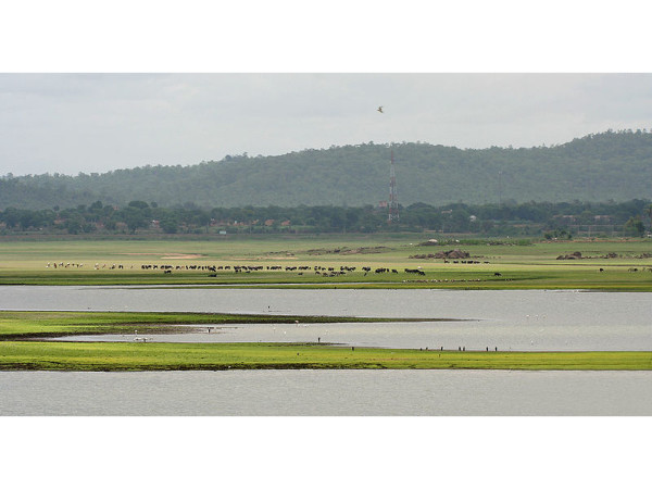 04. പോചാരം