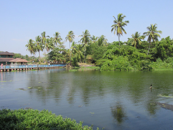 കൂടുതൽ ചിത്രങ്ങൾ